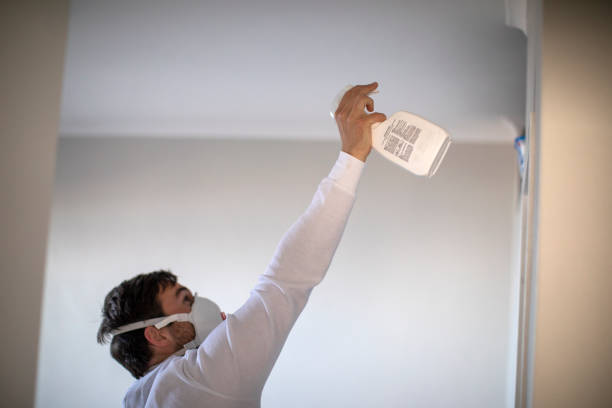 Best White Mold Remediation in Casper, WY