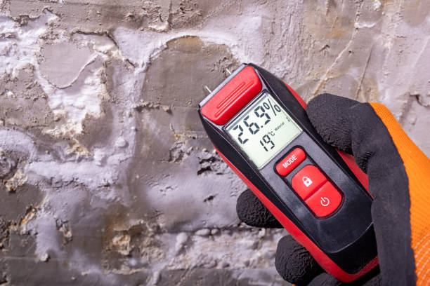 Best Mold Remediation for Specific Building Types in Casper, WY