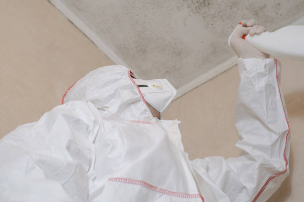 Best Commercial Mold Remediation in Casper, WY